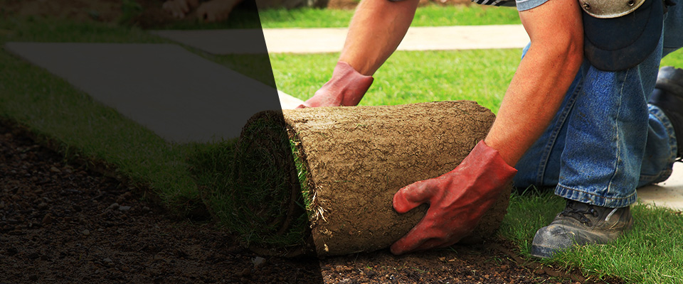 Rensselaer Landscapers